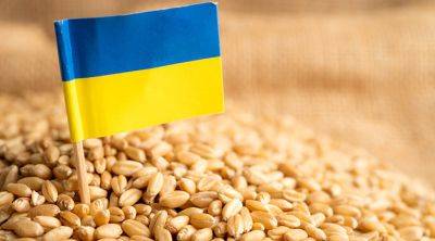 Венгрия попросила продлить запрет на украинское зерно до конца года - agroportal.ua - Венгрия - Евросоюз - Брюссель