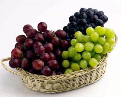Чем полезен виноград красных, черных и зеленых сортов, состав ягод - vsadu.ru - г. Виноград