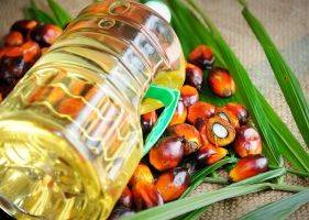Индонезия снизила референтную цену на нерафинированное пальмовое масло - apk-inform.com - Индонезия