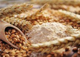 В Украине сохраняется рост цен на пшеничные отруби - apk-inform.com - Украина