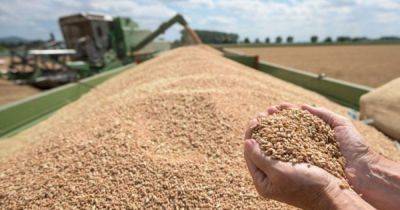 Ограничения на импорт украинского зерна в пять стран-соседей могут продлить до октября - delo.ua - Украина - Польша - Киев - Евросоюз - Брюссель