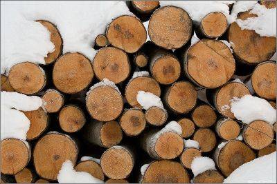 Выбор дров для отопления частного дома: какими лучше топить - vsadu.ru
