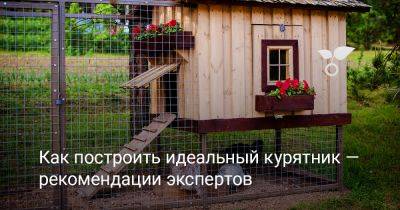 Как построить идеальный курятник — рекомендации экспертов - botanichka.ru