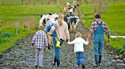 Семейным фермерским хозяйствам компенсировали 1,9 млн грн ЕСВ - agroportal.ua - Украина
