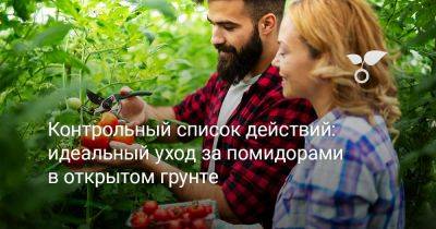 Контрольный список действий — идеальный уход за помидорами в открытом грунте - botanichka.ru