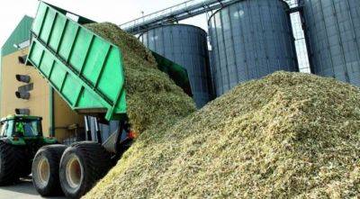 Рынок переработки будет двигаться в сторону биоэнергетики - agroportal.ua - Украина