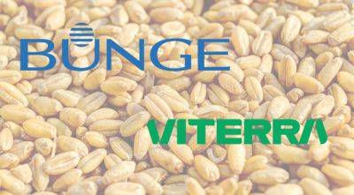 Слияние Bunge и Viterra: названа стоимость новой компании - agroportal.ua