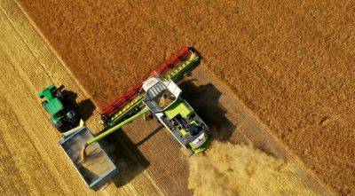 USDA улучшило прогноз по урожаю и экспорту украинского зерна - agroportal.ua - Индия - Украина - Сша