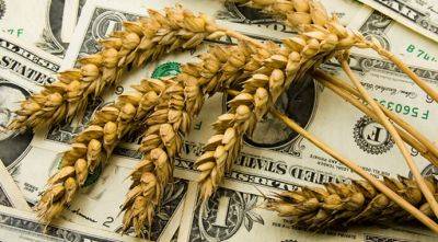Украина отправила на экспорт более 16 млн т пшеницы - agroportal.ua - Украина