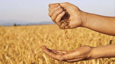 Субсидии польским фермерам за украинское зерно противоречат правилам ВТО - agroportal.ua - Украина - Польша