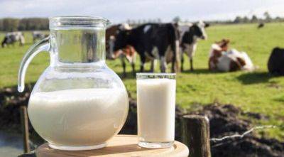 Производство молока в Украине сокращается - agroportal.ua - Украина - Молдавия