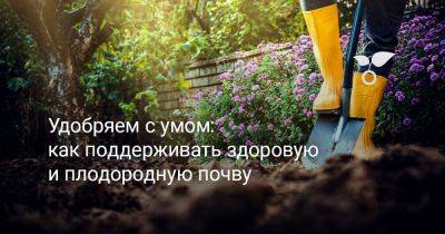 Удобряем с умом: как поддерживать здоровую и плодородную почву - botanichka.ru