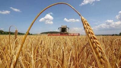 Агросектор Украины восстановится только через 20 лет после войны - agroportal.ua - Украина - Киев