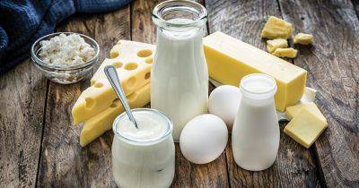 Канада открывает рынок для украинской молочной продукции - delo.ua - Израиль - Англия - Юар - Марокко - Китай - Япония - Украина - Турция - Ливия - Канада - Молдавия - Узбекистан - Таджикистан - Туркмения - Аргентина - Азербайджан - Алжир - Саудовская Аравия - Евросоюз - Кения