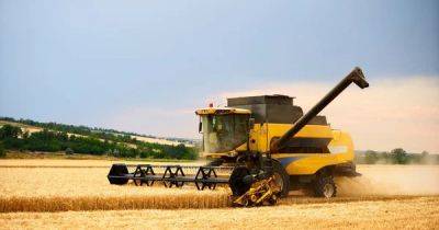Румыния хочет продлить запрет на агроимпорт из Украины до конца года - delo.ua - Украина - Румыния - Евросоюз