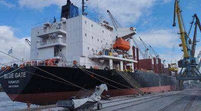 Порт Рени принял судно с рекордной грузоподъемностью - agroportal.ua - Украина