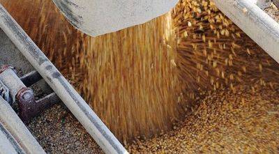 Экспорт зерна из Украины почти достиг прошлогодних объемов - agroportal.ua - Украина