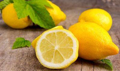 Полезные свойства лимона, применение в медицине и при диетах, фото - vsadu.ru