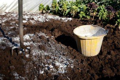 Известкование кислой почвы: когда проводится и как правильно его сделать? - vasha-teplitsa.ru