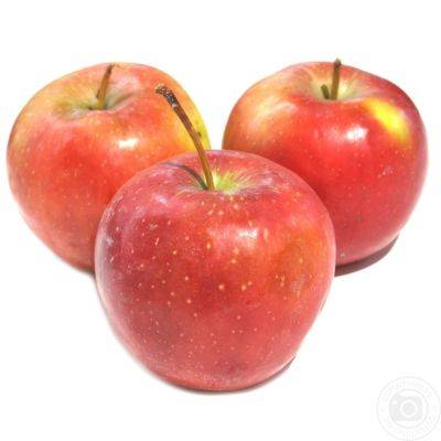 Сорт яблони Джонаголд, описание, характеристика и отзывы, а также особенности выращивания данного сорта - vasha-teplitsa.ru - Голландия - Ссср - Украина - Сша - Бельгия