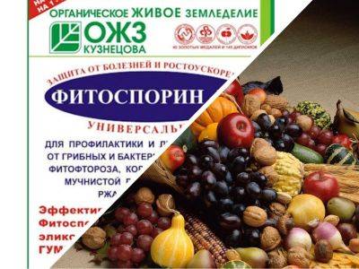 Как правильно развести пасту Фитоспорин и увеличить эффективность препарата - vasha-teplitsa.ru