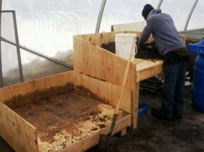 Подготовка почвы в теплице под помидоры весной: пошаговое руководство - vasha-teplitsa.ru