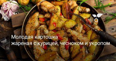 Молодая картошка жареная с курицей, чесноком и укропом - botanichka.ru