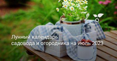 Лунный календарь садовода и огородника на июль 2023 - botanichka.ru