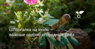 Шпаргалка на июль — важные садово-огородные дела - botanichka.ru