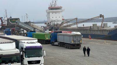 Порт в Орловке планирует расширяться - agroportal.ua - Украина