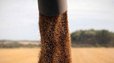 Украина в этом году соберет 68 млн т зерновых и масличных - agroportal.ua - Украина