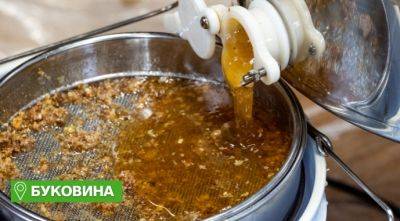 На Буковине отсрочили откачку меда из-за холодной весны - agroportal.ua