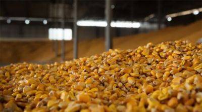 Украина войдет в новый сезон со средними довоенными запасами зерна - agroportal.ua - Украина - Евросоюз