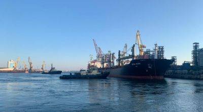 Украина сможет продолжить экспорт зерна морем без россии - agroportal.ua - Китай - Россия - Украина - Турция
