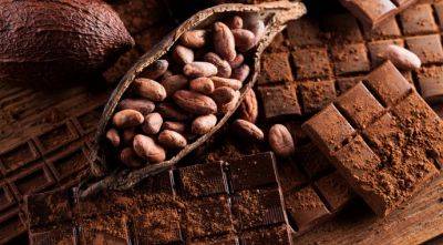 Новый заменитель какао-масла удешевит производство шоколадных изделий - agroportal.ua - Швеция