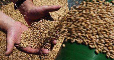 Украинские аграрии должны быть уверены, что смогут экспортировать новый урожай - delo.ua - Украина - Евросоюз