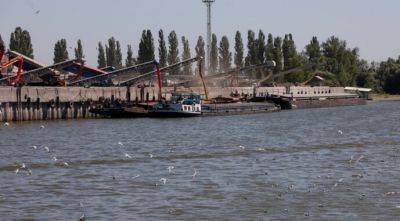 Дунайские порты установили абсолютный рекорд по перевалке грузов - agroportal.ua - Украина - Румыния