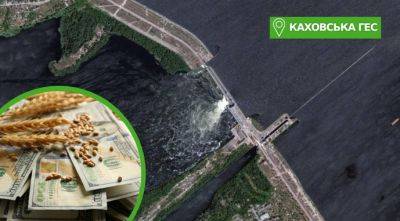 Цены на пшеницу отреагировали на подрыв Каховской ГЭС - agroportal.ua - Киев