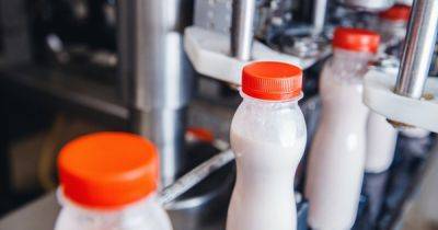 "Логику понять трудно": Украинские молочники отреагировали на идею МинАПК вернуть ветконтроль молока из Польши - delo.ua - Украина - Польша