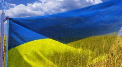 Европейские аграрные ограничения: Украина будет требовать компенсации убытков - agroportal.ua - Украина - Евросоюз