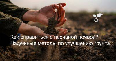 Как справиться с песчаной почвой? Надежные методы по улучшению грунта - botanichka.ru