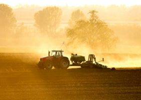 Аргентина начала посевную пшеницы - apk-inform.com - Аргентина