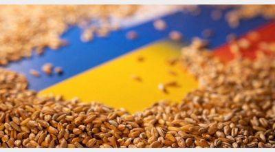Владимир Путин - Германия и Испания раскритиковали решение об ограничении зерна из Украины - agroportal.ua - Украина - Германия - Испания - Евросоюз