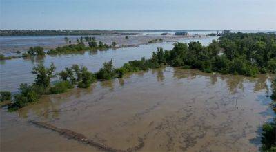 Затопленные земли потребуют спецметодов восстановления почв - agroportal.ua - Украина
