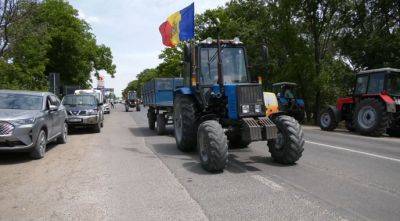 Фермеры Молдовы несколько дней протестуют против украинского зерна - agroportal.ua - Украина - Молдавия