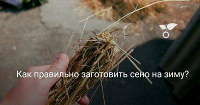 Как правильно заготовить сено на зиму? - botanichka.ru