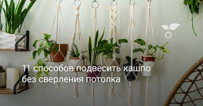 11 способов подвесить кашпо без сверления потолка - botanichka.ru