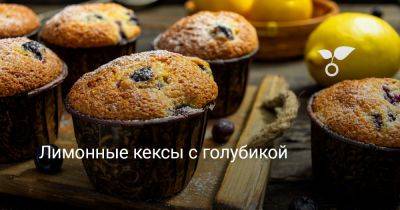 Лимонные кексы с голубикой - botanichka.ru