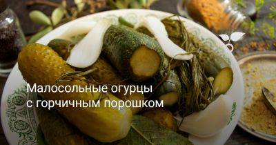 Малосольные огурцы с горчичным порошком — хрустящие, быстрые и очень вкусные - botanichka.ru