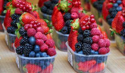 Витаминный коктейль: Чем ценны летние ягоды и как их правильно употреблять? (+ пара рецептов) - rus.delfi.lv